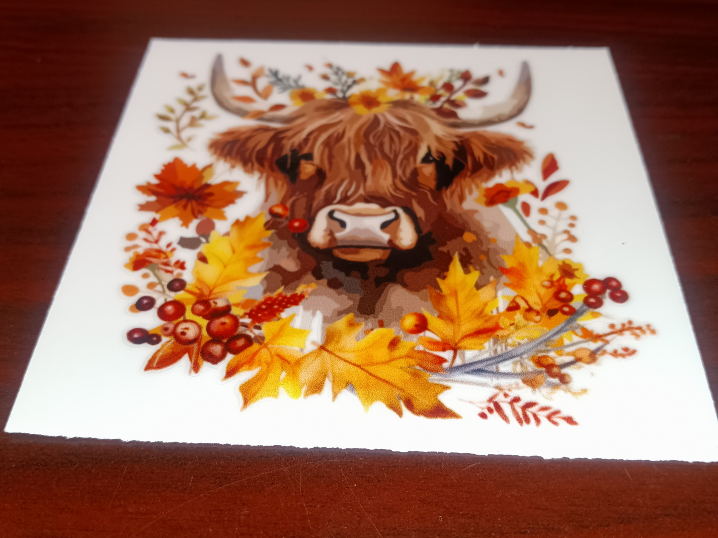 Berry Cow Fall Decal