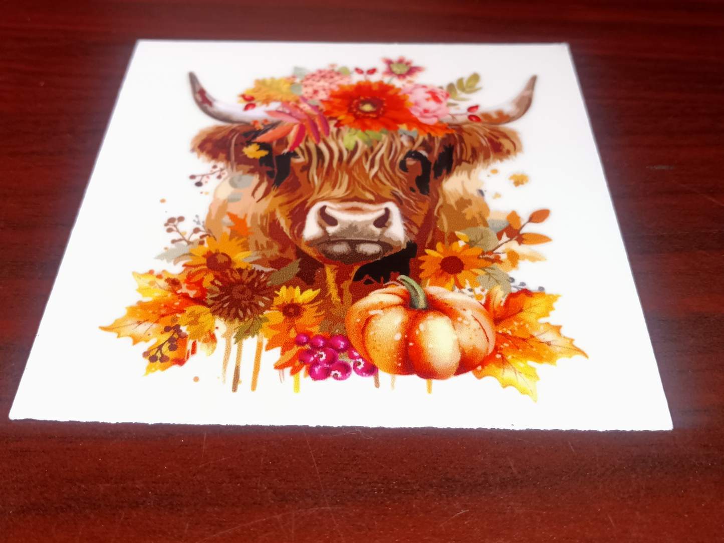 Long Mane Flower Cow Fall Decal