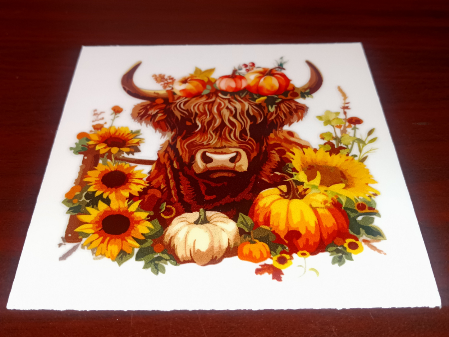 Dark Brown Cow Fall Decal